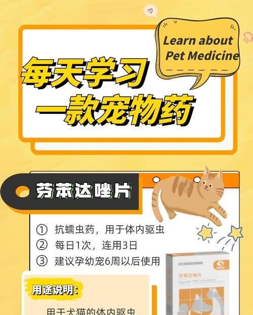宠物打虫药多久生效？解答你的疑惑（揭秘宠物打虫药的有效性以及注意事项）