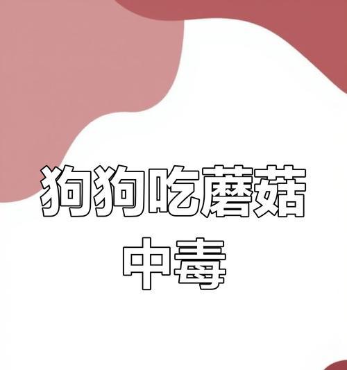狗狗中毒的症状及处理方法（狗狗中毒多久会有症状？什么是狗狗中毒的紧急处理方法？）