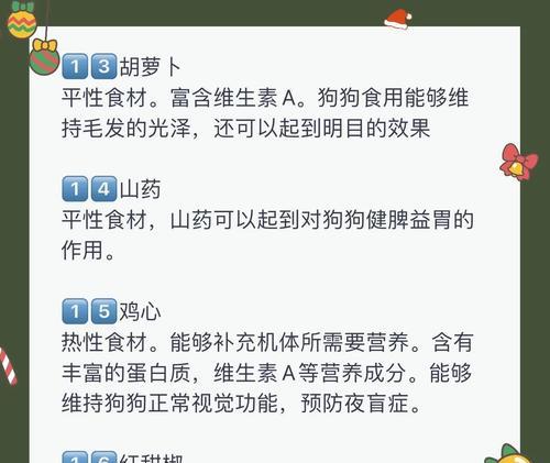狗狗的蛋白质需求及补充食物（满足狗狗健康成长的营养要点）