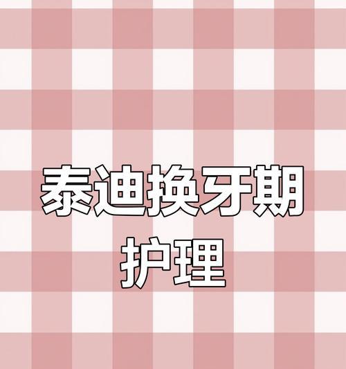泰迪犬换牙的时间和注意事项（了解泰迪犬换牙周期，帮助宠物健康成长）