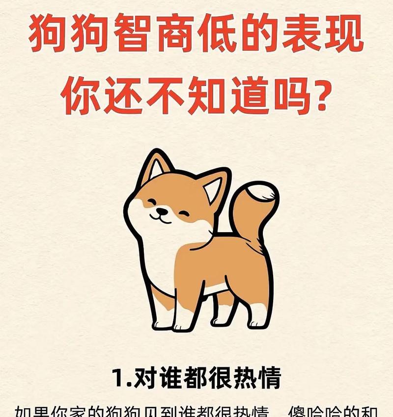 发现你家狗狗的智商高过平均水平了吗？（探索狗狗智商的迷人世界，让你惊叹不已！）