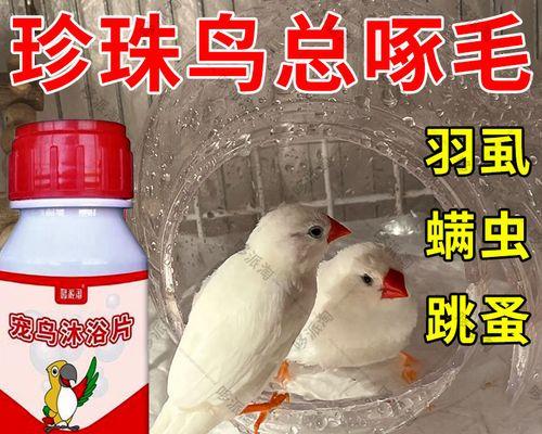 驱虫多久洗澡才合适？（根据寄生虫类型和活动周期，合理安排洗澡时间）