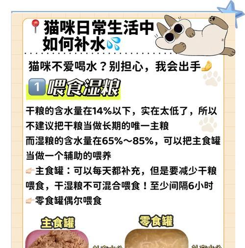 猫咪为什么要重视补水？（探究猫咪缺水的危害与补水的重要性）