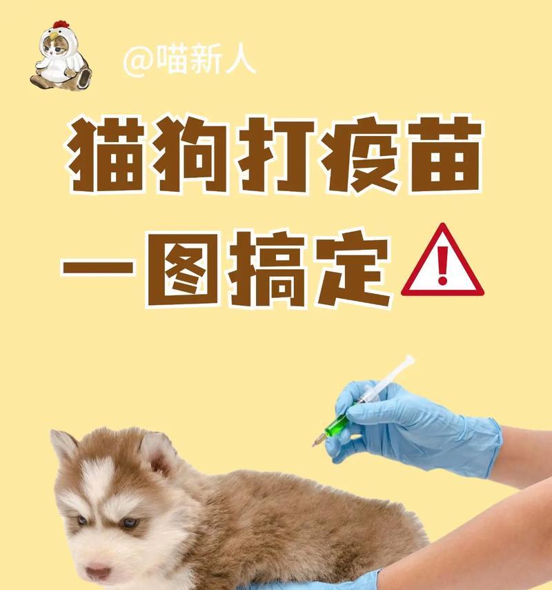 幼犬疫苗保健攻略（保护宠物健康的必要措施）