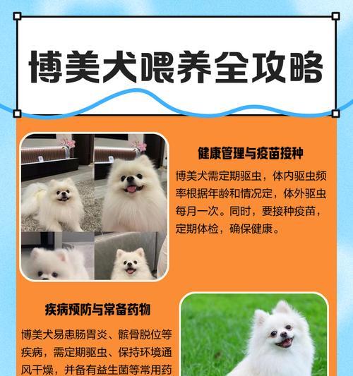 博美驱虫与疫苗接种时间的正确顺序（科学的养犬之道，做个负责任的狗主人）