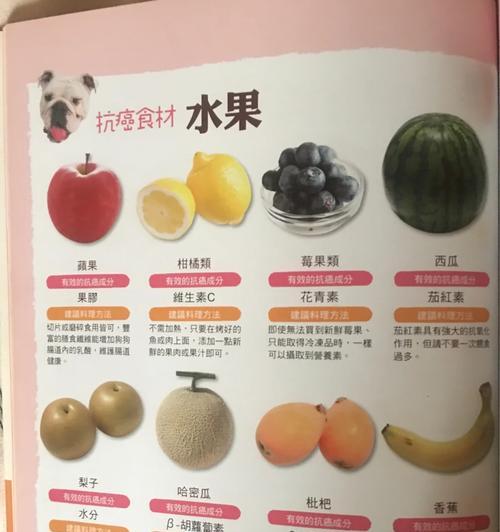 狗狗吃药多久能够被完全吸收？（探究药物在狗狗体内的吸收过程与时间）