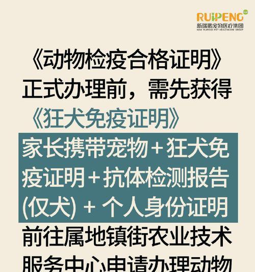 宠物检疫证办理时间及流程解析（宠物检疫证办理需要多久？了解办理时间及流程）