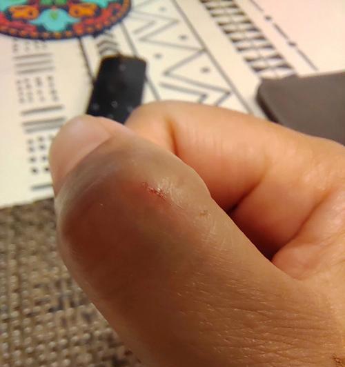 狗狗皮破了，多久能好？（了解皮肤破损修复时间的关键信息）