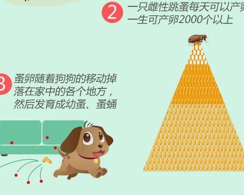 福来恩之后虱子死亡时间的研究（探究福来恩之后虱子存活时间的关键因素及效果预测）