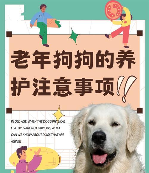 如何在家给狗狗做个小体检？（掌握关键技巧，保护你的爱犬健康）