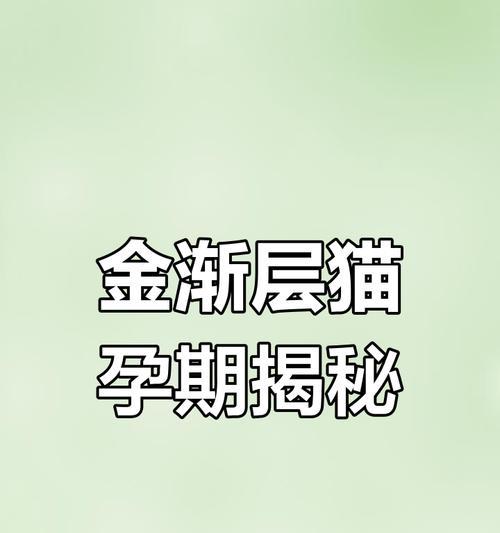 猫的繁殖周期与生育频率（解密猫咪的繁殖能力及生育间隔）