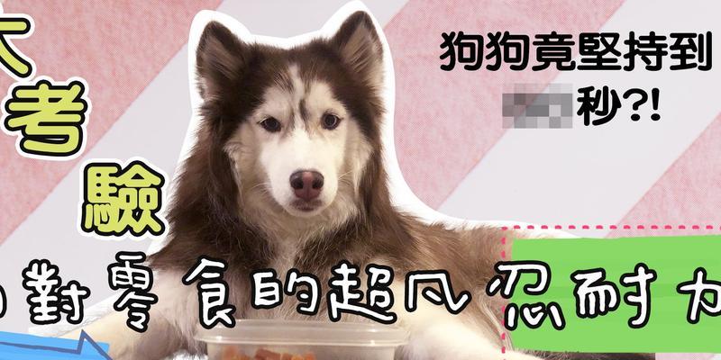 狗狗的寒冷适应能力（狗狗在不同气温下的适应能力及保护要点）