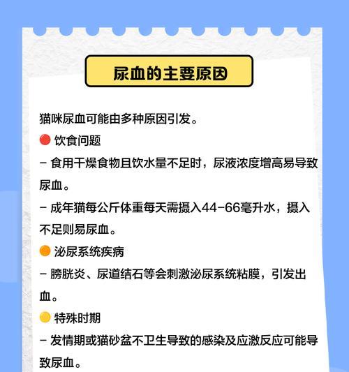 猫猫尿血治疗期多久？（了解猫猫尿血的治疗时间和关键注意事项）