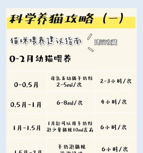 猫咪断奶的最佳时间及注意事项（猫咪断奶时间表和喂养建议）