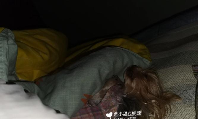 幼犬晚上憋尿能憋多久？（探索幼犬夜间排尿能力的时间范围）