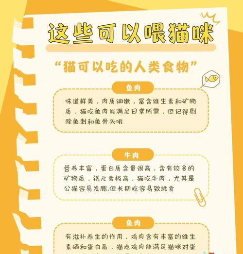 猫咪的饮食守则（了解猫咪能吃和不能吃的食物，保护它们的健康）