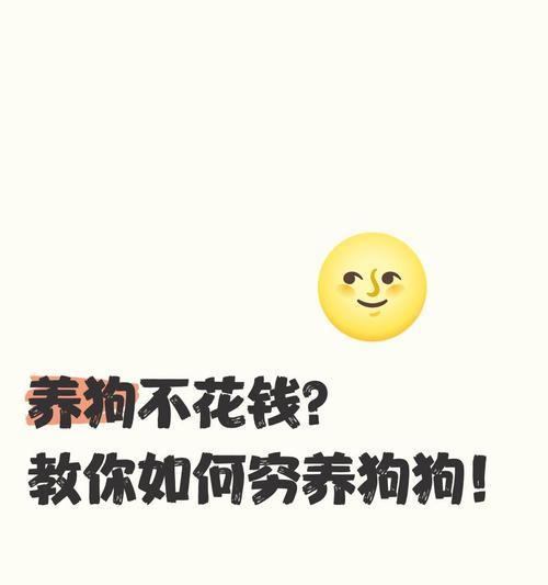 养一只狗要花这么多钱！你还敢养吗？（了解养狗的经济负担与责任，远离无畏的决定）