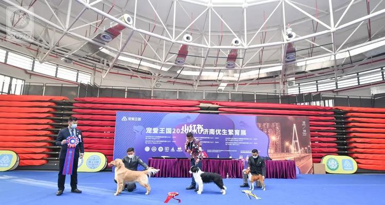 cku芯片（性创新与高效能力，cku芯片引领行业前沿）