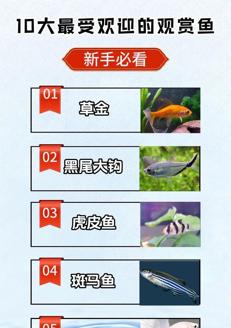 探秘水族世界（探索海洋深处的神秘生物群落）