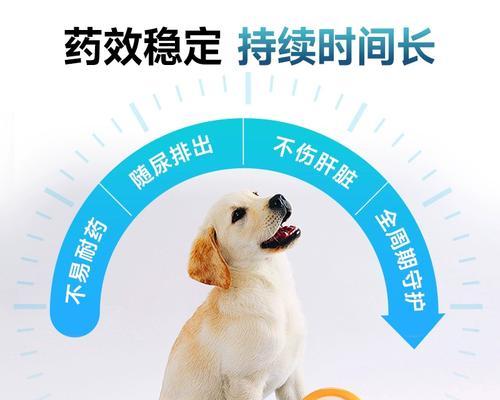 常用药品救狗狗外伤的良方（了解外伤常用药品，保护你的狗狗健康）