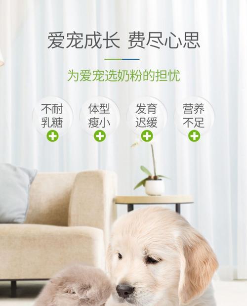 从多久开始不再需要狗狗喝奶粉？（狗狗断奶时间和喂养方式的重要性）