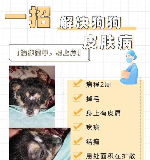 狗狗脱毛的周期和原因（揭秘狗狗脱毛的规律及常见问题）