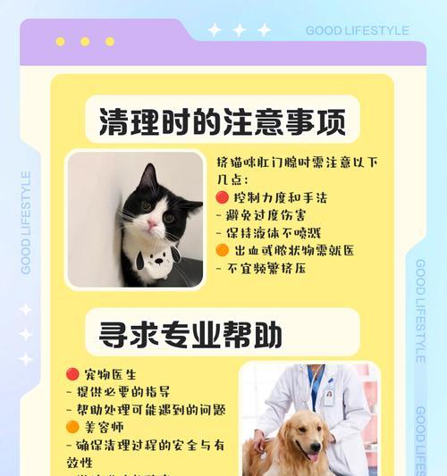 猫咪肛门腺挤压频率的重要性（了解猫咪肛门腺挤压的时间间隔及其健康益处）