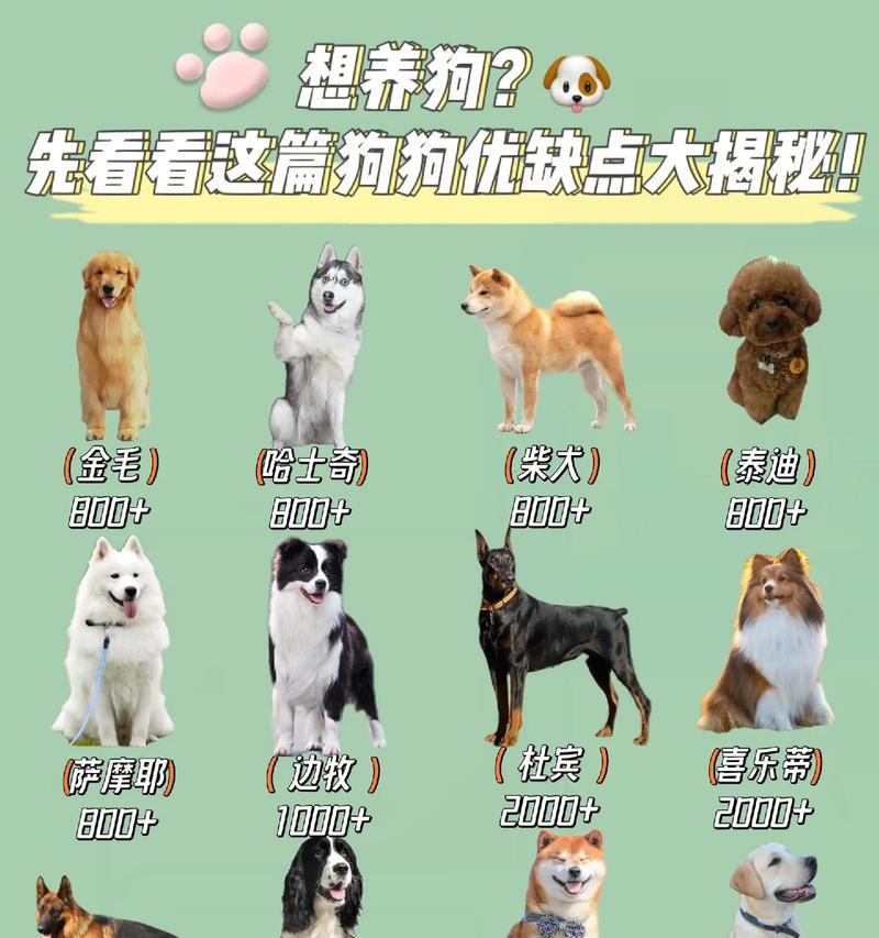 探究养阿拉斯加的费用与缺点（揭秘养阿拉斯加的经济负担与问题）