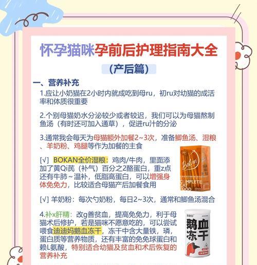 猫的怀孕期多长时间？（了解猫咪孕育过程及生产周期）