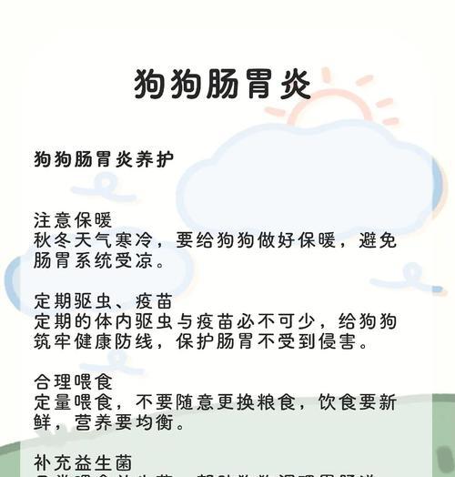 小狗吃药后多久能够排出寄生虫？（了解药物作用周期，保护宠物健康）