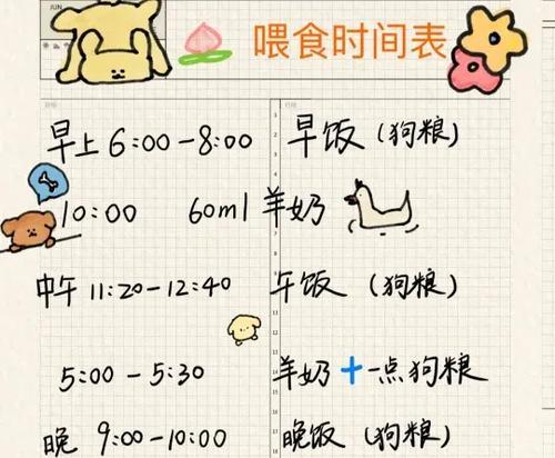 泰迪犬的年龄与喂食频次（根据年龄不同，泰迪犬的喂食次数有何变化？）