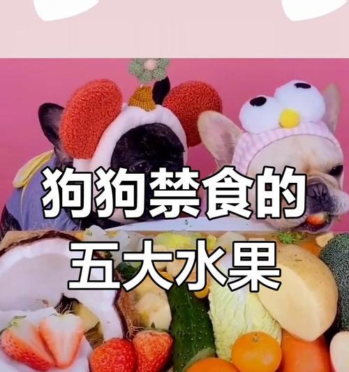 狗狗禁食水果的危害及相关提醒（小心危害生命，以下水果狗狗不能吃）