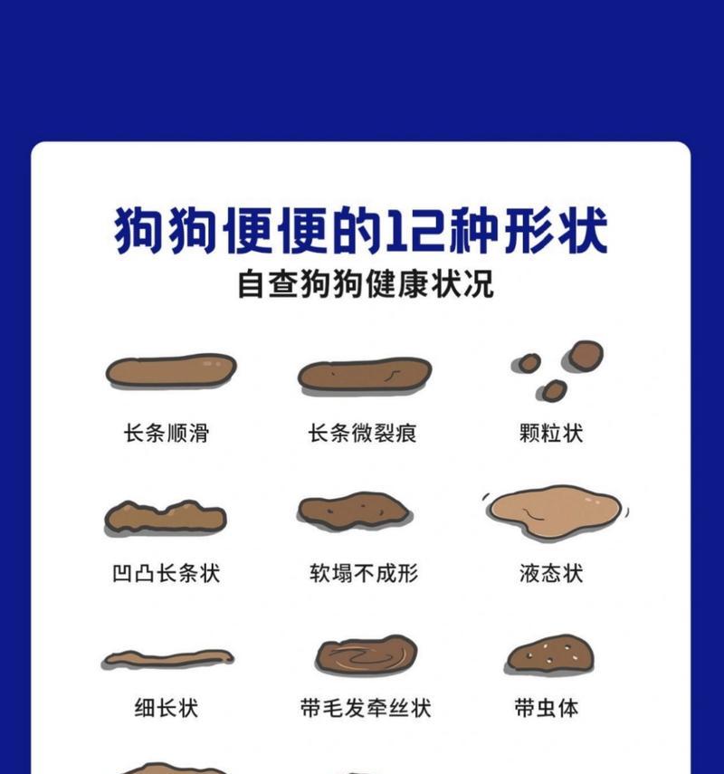 狗狗拉肚子的原因及简单处理方法（了解拉肚子的原因，有效处理宠物拉肚子）