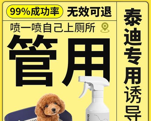 如何解决泰迪犬乱拉屎问题（掌握这些方法，让你轻松解决宠物的困扰）