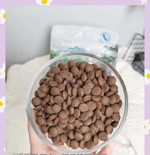 狗粮泡水时间的影响及最佳泡水时间选择（探讨狗粮泡水的时间长短对狗狗健康的影响，找出最佳泡水时间）