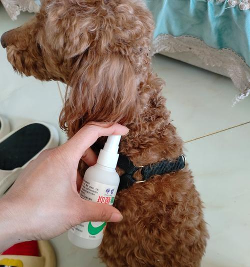 狗狗防蜱虫药水的选择与使用（保护宠物免受蜱虫侵害，选择正确的防蜱药水）