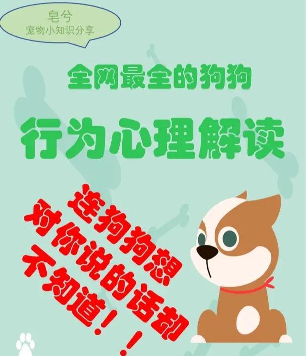 深入探索狗狗的行为语言（了解30种狗狗行为，成为更好的狗主人）