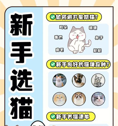 猫妈喂养猫仔的时长（探究猫妈喂养猫仔的常规时间和注意事项）