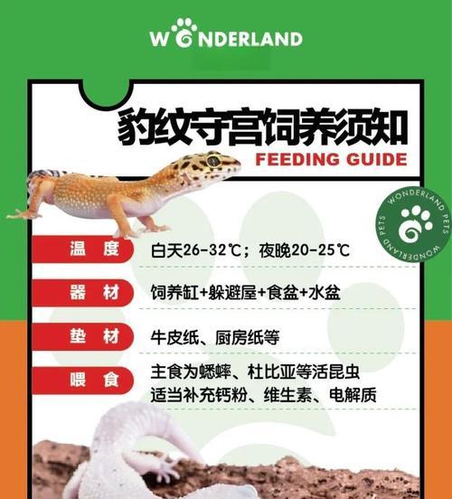 以豹纹守宫压成要多久？（揭秘豹纹守宫的时间之谜）
