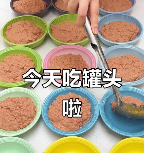 合理安排小猫罐头饮食的频率（探讨小猫罐头饮食的最佳时间间隔）
