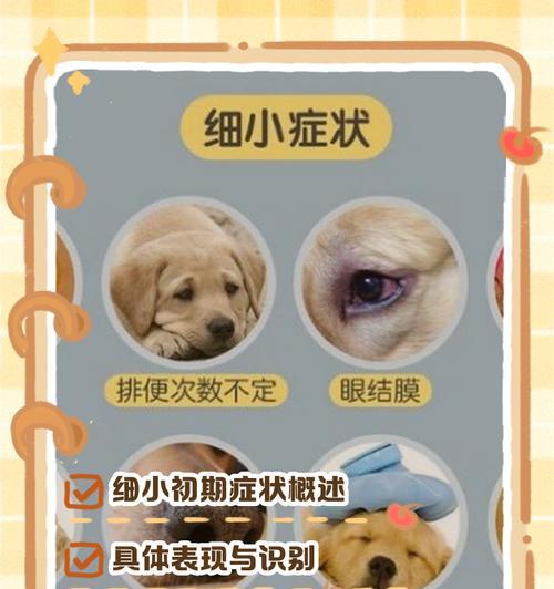 不同类型狗狗的寿命究竟有多长？（揭秘狗狗寿命）