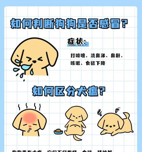 小狗感冒发烧的痊愈时间及护理（探究小狗感冒发烧需要多长时间康复，以及如何进行护理）
