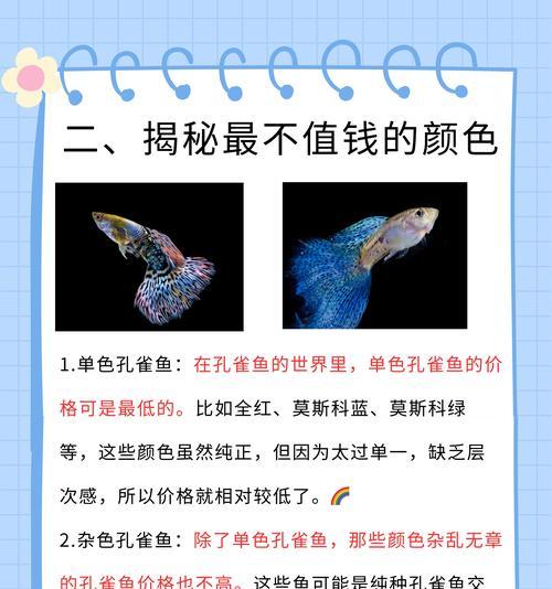 孔雀鱼（温暖的水域中的绚丽色彩）
