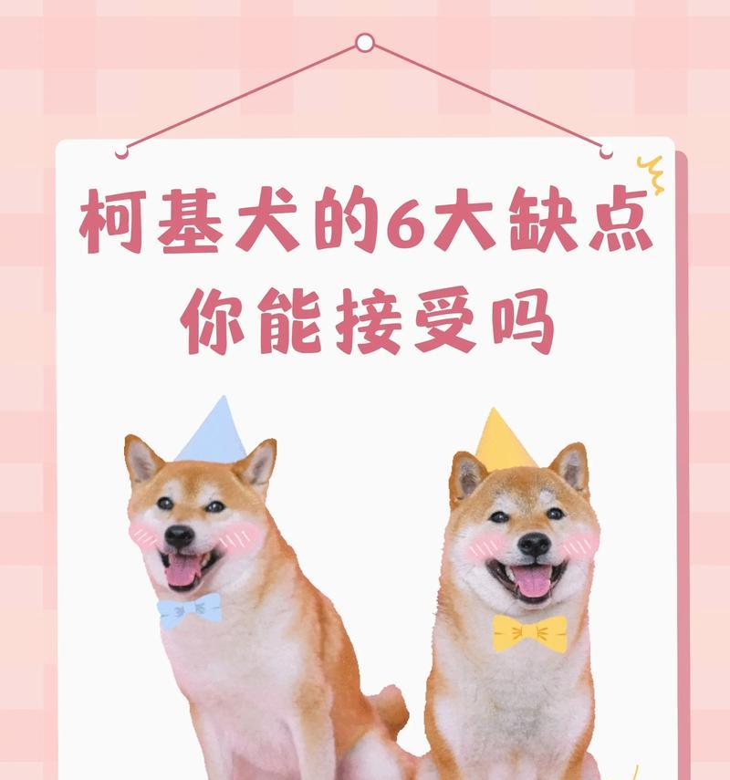 柯基幼犬一天可以睡多久？（揭秘柯基幼犬的睡眠习惯及关键因素）