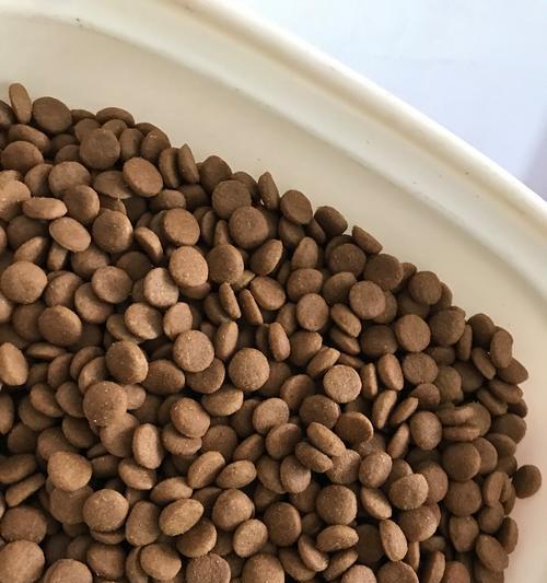 泰迪狗每月应摄入的狗粮量（以泰迪个体为主题的喂食计划）