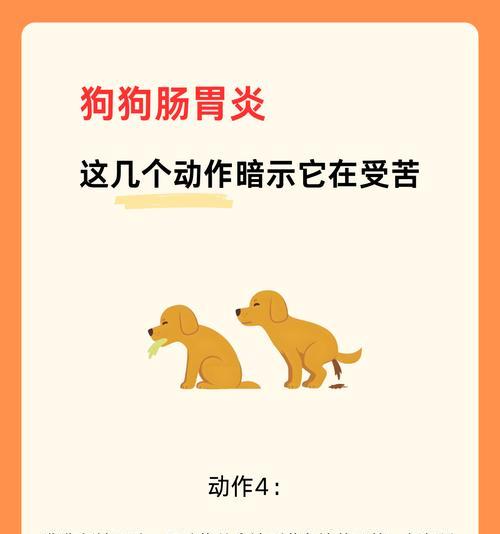 狗狗腹痛的症状及表现（了解狗狗腹痛的迹象是如何帮助我们关心它们的）
