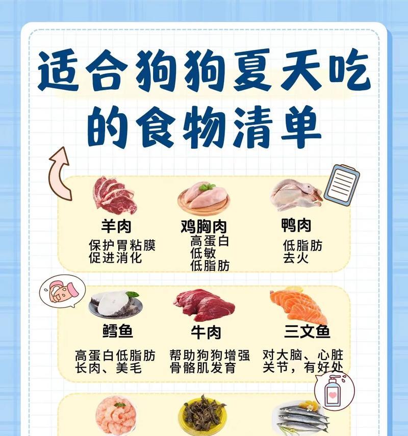 养狗的关键技巧（养狗如何做到贴心照料）