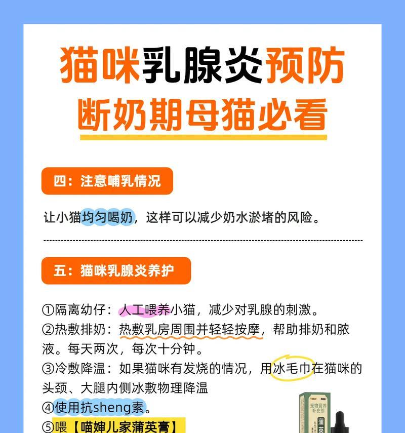 孕期母猫的养护指南（母猫怀孕及哺乳期喂养护理知识）