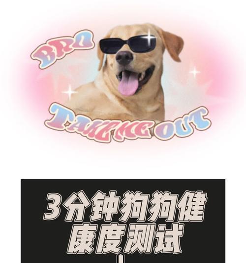 揭秘狗狗健康隐患！真正的“垃圾食品”被公布！（保护你的狗狗免受伤害，掌握这些关键信息）