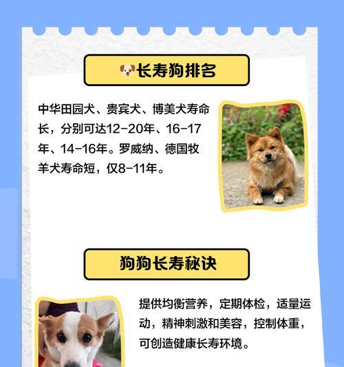 长寿宠物大揭秘（探索长寿宠物的奥秘，让你对它们更了解！）